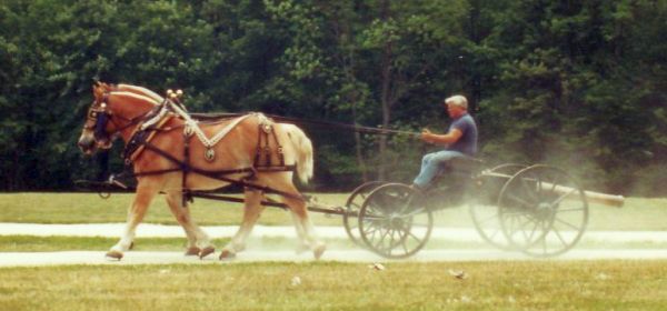 Teamof horses pulling cannon