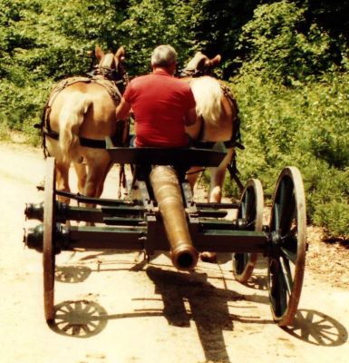 Team of horses pulling carriage