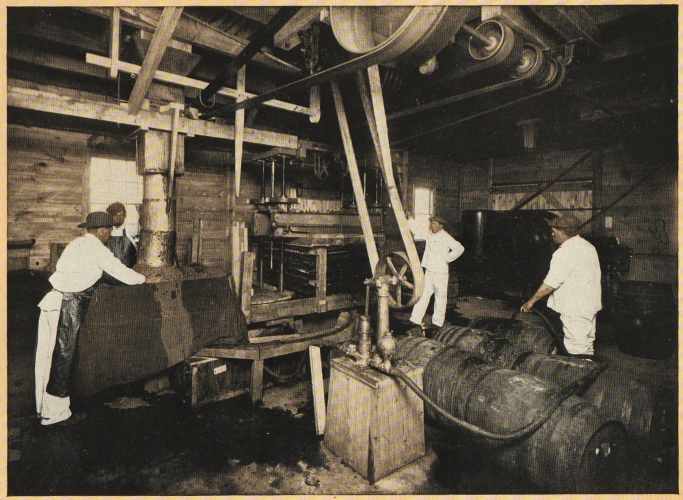 1910 cider press