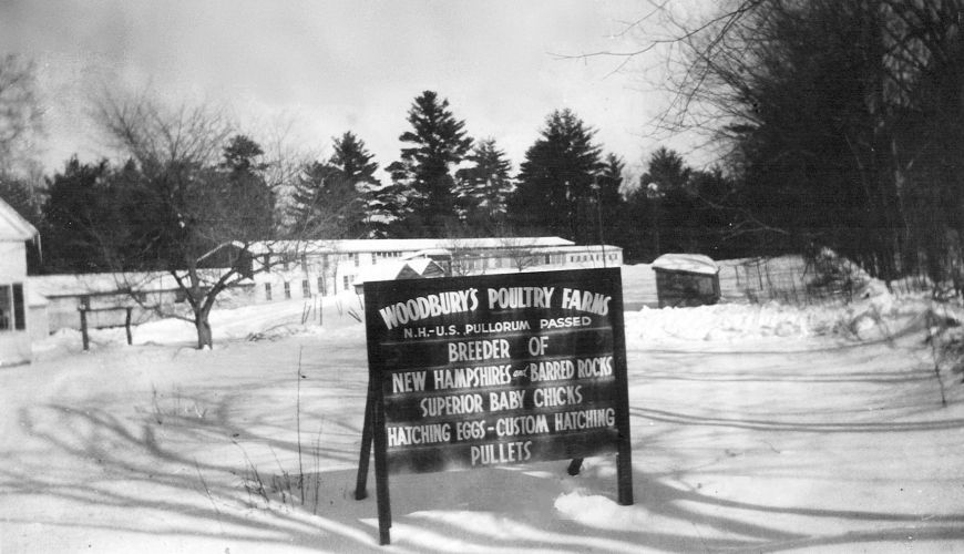 WoodburysPoultryFarms1941