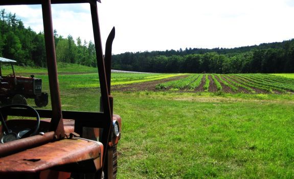 Middle Branch Farm CSA