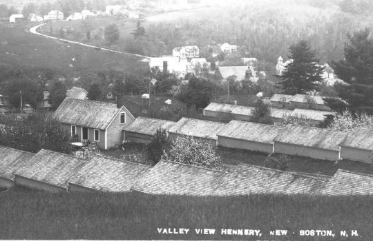 Valley View hennery