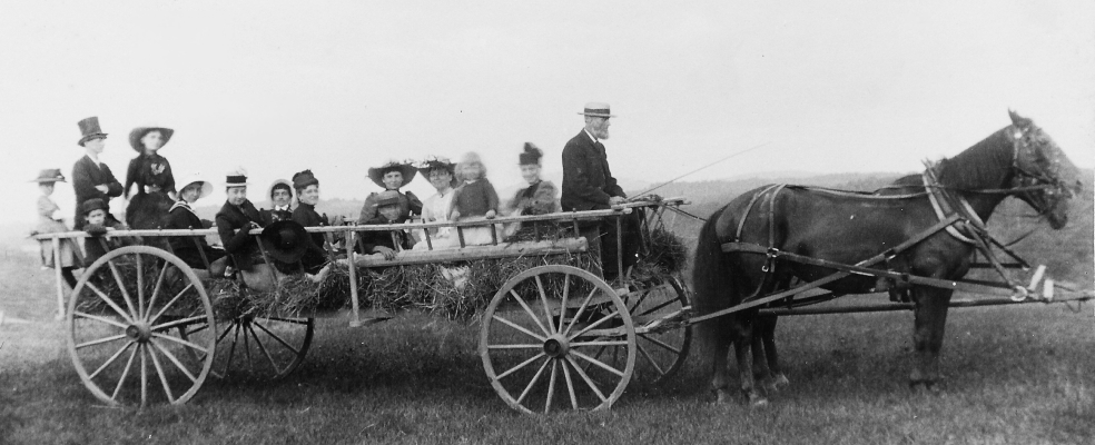 Charles Shedd haywagon c. 1892